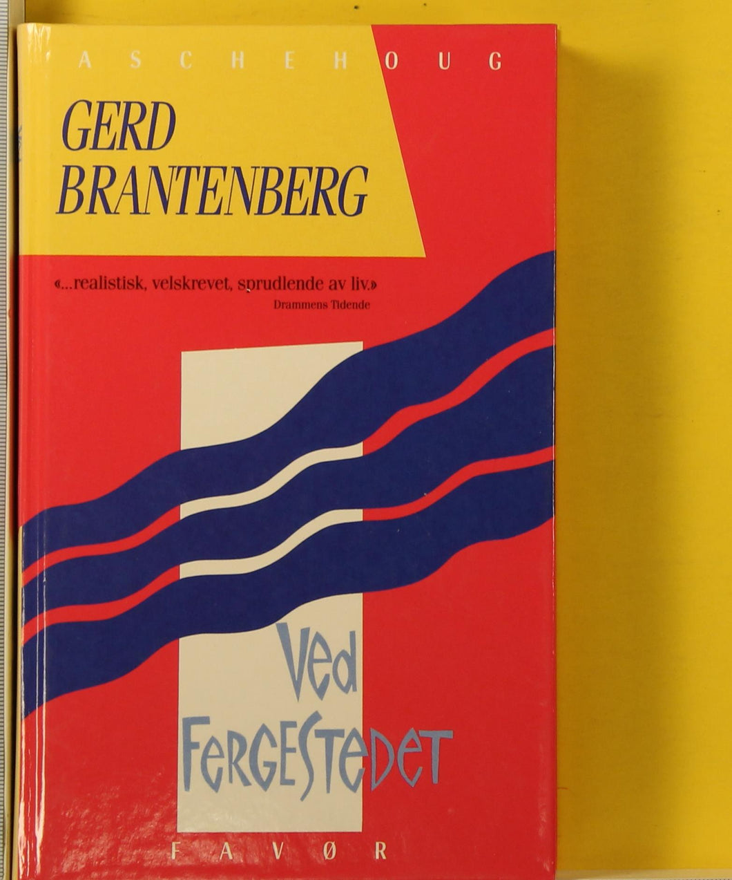 Ved fergestedet  : skjebner om en skole (1955-60). Gerd Brantenberg
